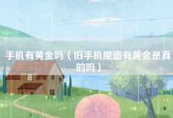手机有黄金吗（旧手机里面有黄金是真的吗）