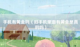 手机有黄金吗（旧手机里面有黄金是真的吗）