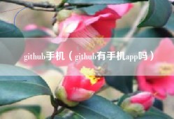github手机（github有手机app吗）