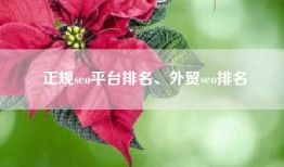 正规seo平台排名、外贸seo排名
