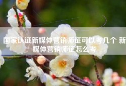 国家认证新媒体营销师证可以考几个 新媒体营销师证怎么考