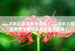 oppo手机云服务查找手机（oppo手机云服务查找手机定位没有显示距离）