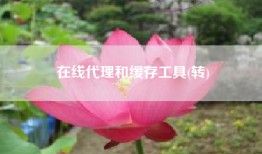 在线代理和缓存工具(转)