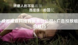 成都雁鼎科技有限责任公司dy广告投放组合技巧