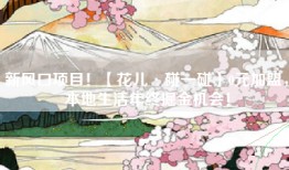新风口项目！【花儿·碰一碰】0元加盟，本地生活年终掘金机会！