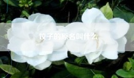 饺子的原名叫什么