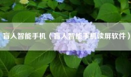 盲人智能手机（盲人智能手机读屏软件）