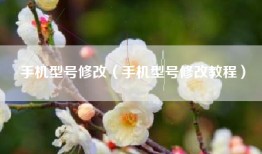 手机型号修改(手机型号修改教程)