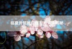 临夏外贸推广联系方式大揭秘