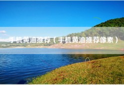 手机黄油推荐（手机黄油推荐像素）