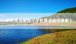 手机黄油推荐（手机黄油推荐像素）
