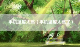 手机温度太高（手机温度太高了）