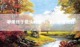 苹果终于低头开放NFC了，但要加钱