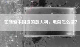 在酷爱中国货的意大利，电商怎么做？