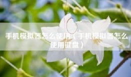 手机模拟器怎么使用（手机模拟器怎么使用键盘）
