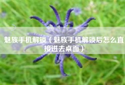 魅族手机解锁（魅族手机解锁后怎么直接进去桌面）