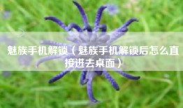 魅族手机解锁（魅族手机解锁后怎么直接进去桌面）