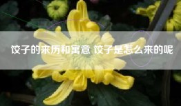 饺子的来历和寓意 饺子是怎么来的呢