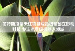 前特斯拉擎天柱项目成员杨硕创立妙动科技 专注消费级机器人领域