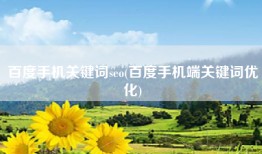 百度手机关键词seo(百度手机端关键词优化)