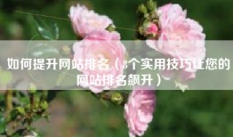如何提升网站排名（8个实用技巧让您的网站排名飙升）