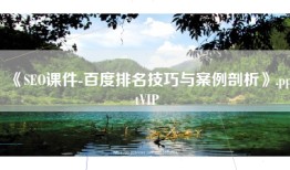 《SEO课件-百度排名技巧与案例剖析》.pptVIP
