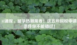 AI涌现，留学热潮席卷！这五所院校申请条件你不能错过！
