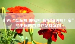 山西“装车机-伸缩机-伸缩输送机厂家”的主网站苗独立站群案例