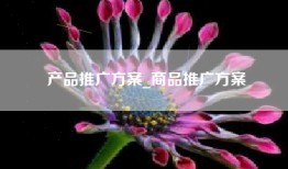 产品推广方案_商品推广方案