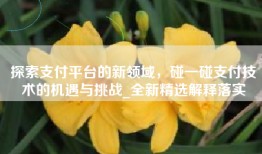 探索支付平台的新领域，碰一碰支付技术的机遇与挑战_全新精选解释落实