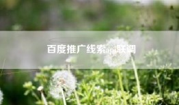 百度推广线索api联调