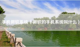 手机微软系统（微软的手机系统叫什么）