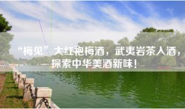 “梅见”大红袍梅酒，武夷岩茶入酒，探索中华美酒新味！