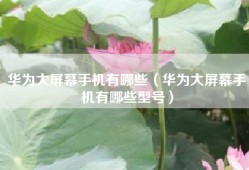 华为大屏幕手机有哪些（华为大屏幕手机有哪些型号）
