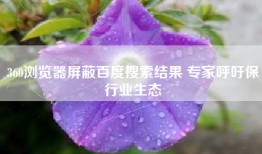 360浏览器屏蔽百度搜索结果 专家呼吁保行业生态