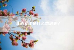 非遗文化是什么意思呢？