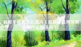 硅胶手机壳怎么清洗（硅胶手机壳发黄用什么能洗白）