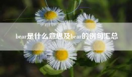 bear是什么意思及bear的例句汇总