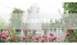 nginx常用代理配置