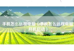 手机怎么远程电脑（手机怎么远程电脑开机启动）