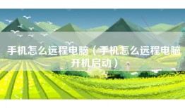 手机怎么远程电脑（手机怎么远程电脑开机启动）