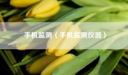 手机监测（手机监测仪器）