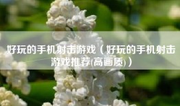 好玩的手机射击游戏（好玩的手机射击游戏推荐(高画质)）