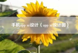 手机app ui设计（app ui设计图）