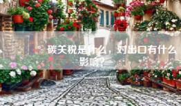 💰碳关税是什么，对出口有什么影响？