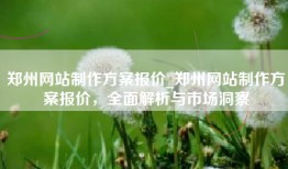 郑州网站制作方案报价_郑州网站制作方案报价，全面解析与市场洞察