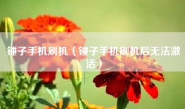 锤子手机刷机（锤子手机刷机后无法激活）