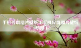 手机碎屏图片壁纸（手机碎屏图片壁纸 动漫）