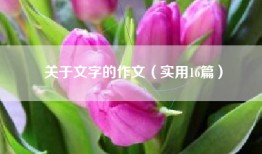 关于文字的作文（实用16篇）