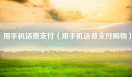 用手机话费支付（用手机话费支付购物）